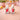 New Easter Bunny Holding Strawberry Salt & Pepper Shakers Party Dinning Set