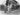 Vtg B&W 1920's - 1930's BETA PHI Frat Photo (Girls & Boys) Group Conversation