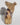 Vintage Table Top Monkeys Salt N' Pepper Set Cabana W/ Umbrella