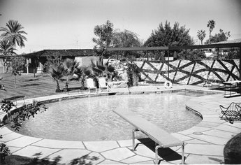 Vtg 1950s Pool B&W Landscape Architecture Architect Pool Photo / Picture #2745