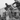 Vtg B&W 1920's - 1930's BETA PHI Frat Photo (Cold Water W/ Audience) Hazing #412