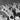 Vintage B&W 1920's - 1930's BETA PHI Frat Photo (College Formal Sit Down Dinner)