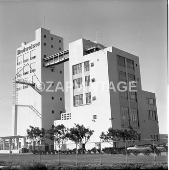 Vtg 1950's Budweiser Brewery & Sign (Anheuser Busch) Roscoe Blvd CA Photo #1633