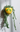 New Wall Hanging Lemon Vase Fake Hanging Plant Artificial Beaded Succulent