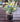 Mini Artificial Flowers Plant Desktop Vase Floral Decor Summer Spring Easter #1