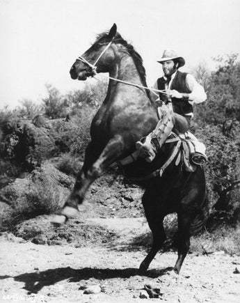 Vtg RARE B&W Portrait of ELVIS PRESLEY Riding Horse Movie Charro Photo #266