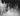 Vtg B&W 1920's - 1930's BETA PHI Frat Photo (Zombies, Playing Dead) Hazing #424
