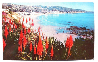 Vintage 1960'S LAGUNA BEACH California Photo Postcard