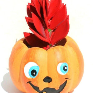 NEW Orange Happy Halloween Pumpkin Ceramic Planter Plot W/ Succulents