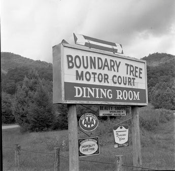 Vtg 1950s Boundary Tree Motor Court Dinning Room Sign California Photo #1188