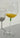 Beautiful Hand Painted Sun Flower Wine Glasses Franciscan Summer