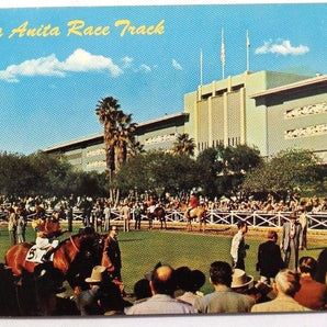 Vtg 1960 SANTA ANITA Arcadia (Horse Race Tracks) Grandstand California POSTCARD