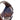 Timex Classic Retro Vintage Digital Watch Indiglo CR2016 Cell