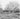 Vtg 1950's Old Run Down Barn Chicken Coop California Photo #1613