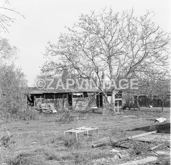 Vtg 1950's Old Run Down Barn Chicken Coop California Photo #1613