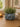 New Vintage Blue Camera Ceramic Indoor Outdoor Planter Catus Succulent Pot