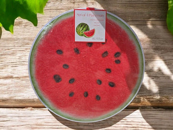 New Set 4 Thick Round Summer WATERMELON Slice Placemats W/ Cork Backing