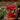 New Christmas Red Poinserria Flower W/ Glitter CANDLE Room Decor