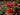 New Christmas Red Poinserria Flower W/ Glitter CANDLE Room Decor