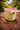 New Ceramic Indoor / Outdoor Green Parrot Tropical Flower Planter Pot