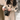 Women Fashion Creative Fragrance Shape Acrylic Square Crossbody Bag