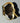 Men's Luxury Sport Watch Collection Curren M-8340 Chronograph in Gold (#24)