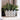 New White Artificial Plant W/Ceramic Fish Planter Vase Coastal Nautical Decor