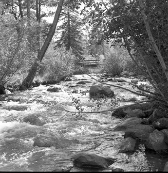 Vtg 1955 Bridge Over River In Estes Park Colorado Nature Photo #1426