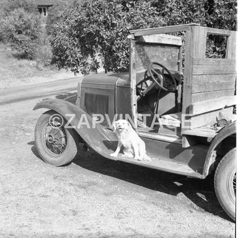 Vintage 1950s Farm Apple Produce Truck W/ Farm Dog California Photo #1275