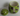 New Ciroa Stoneware Small Artichoke Vegetable Canister Kitchen Jar w/ Lid & Seal