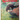 Vintage Western Sportsman MARCH 1941 - Hunting Outdoor Magazine