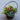 Vintage Bucket Filled With Pine Cones Pine Tree Christmas Tree Ornament