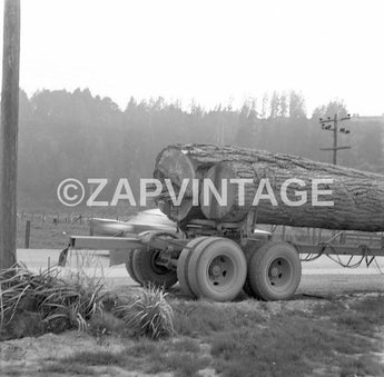 Vintage 1956 Redwood Trees Northern California Logs On A Truck Photo Image #1764