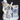 Vintage Blue & White Porcelain Boy Playing Instrument Matchstick Holder & Strike