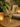 New Gold MCM Palm Leaf Tropical Botanical Tabletop Candle Holder Room Decor