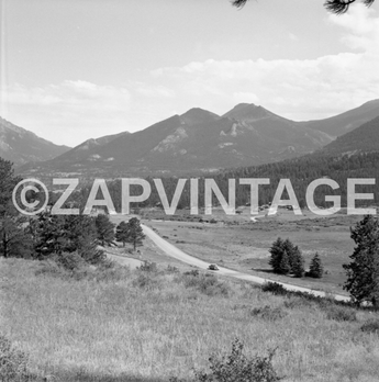 Vtg 1955 Hills VALLEYS & Pine Trees Estes Park Colorado Nature Photo #1432