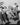 Vintage B&W 1920's - 1930's BETA PHI Frat Photo (Playing Dead At School) Hazing