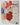 Vintage November 1951 Popular Gardening All-Garden Magazine
