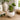 New Artificial Succulent In White Pot Desk Tabletop Fake Plant Room Home Decor