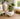 New Artificial Succulent In White Pot Desk Tabletop Fake Plant Room Home Decor