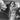Vintage 1964 Kim Novak Laurence Harvey "Of Human Bondage Slapping Photo #2524