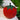 New Red / Green Ripe Summer Beefsteak Tomato Shaped Throw Pillow Room Decor
