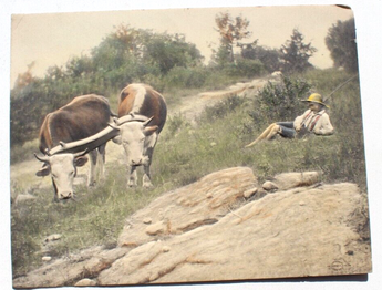 Antique Boy & Cows Alfred S. Campbell Art Relievo 3-Dimen Embossed Photo