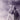 Vtg 1960's BLACK & WHITE Orig UFO Girl W/ Telescope UFO Hunting Photo 8X10