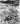 Vtg WWII Japanese Mans Arm & Hand After Bombing On Island Photo #1787