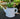 Watering Can Artificial Industrial Concrete Succulent Plant Desktop Floral Decor