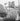 Vtg 1954 Chicago Home Landscaping Outside Garden Plants & Flowers Photo #1460