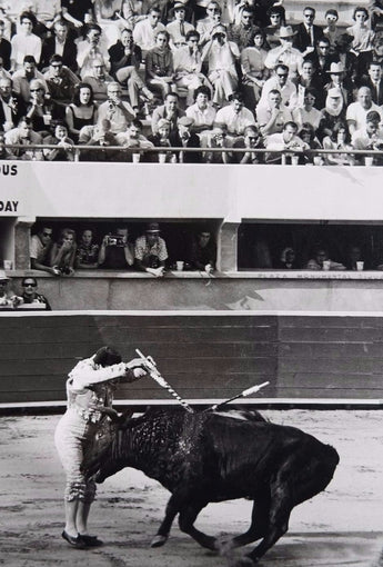 Vtg 1950's Black & White Unknown Bullfighting Matadore Death, Tijuana Photo 2
