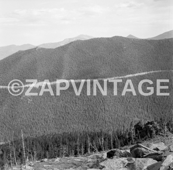 Vtg 1955 Hills VALLEYS & Pine Trees Estes Park Colorado Nature Photo #1433