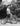 Vtg 1940's Little Boy Riding His Tricycle / Bicycle Bike Photo #1364
